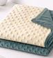 Teal Appeal Minky Blanket